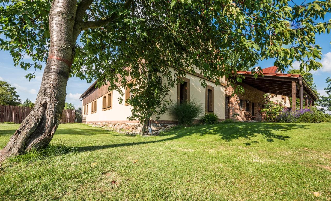 Penzion U Lisky Jarosov nad Nezarkou Extérieur photo